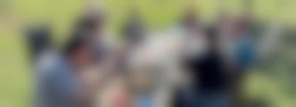 Organisator evenementen