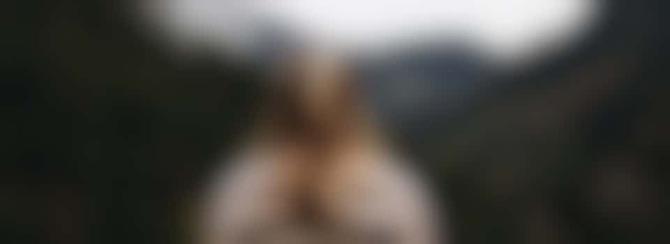 Mindfulness en Meditatie