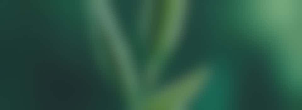 Hoe verbeter ik mijn veerkracht? Online