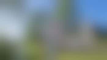 Sluit je aan bij het Buurtpreventieteam Morgenweide!