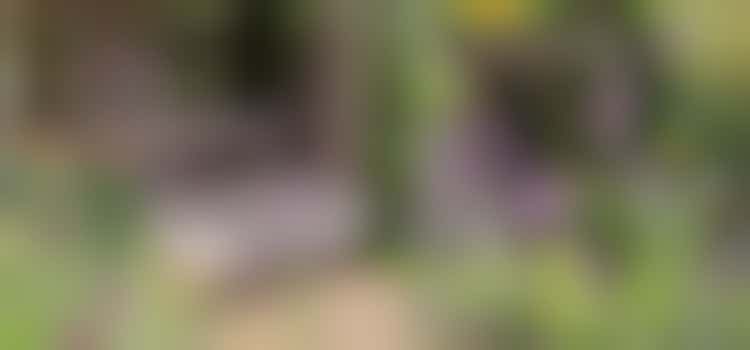 Corporate Volunteering Opportunity