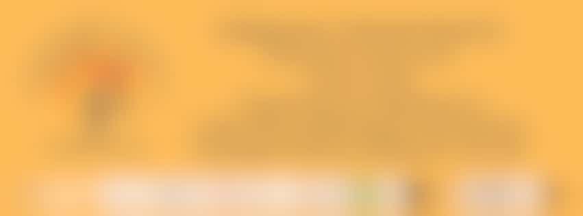 Bridgwater Cultural Festival