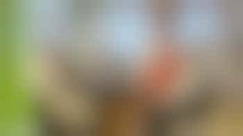 Recovery Cafe Volunteer