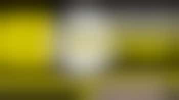 DENS- Sponsored Sleepout Volunteering