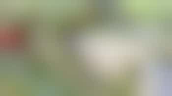 🎪 Vrijwilligers gezocht voor Het Politiek Circus – Griftpark