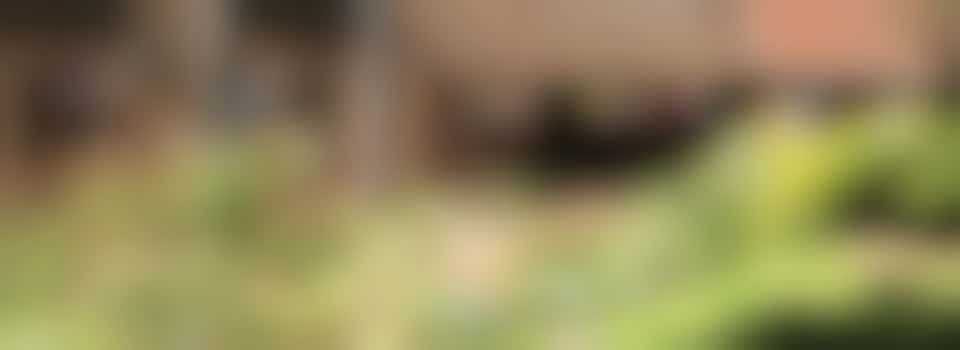 Board of Trustees Chair