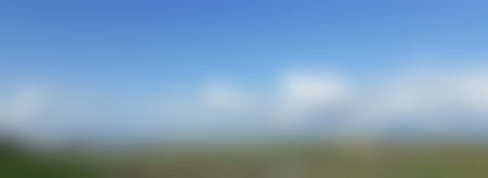 Caring for our Hedgerows