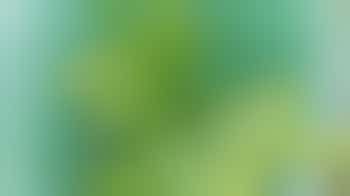 Festive Odd Jobs - 22 December 9:30 am - The Orchard