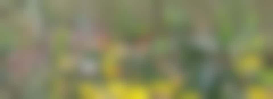 Odd Job Day - 29 September 9:30 am