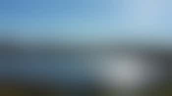 Willow Clearing - The Pond