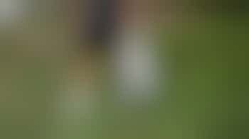 Litter Picking - Sunday December 7 at 10.30 am - Meet at Fox Elms Car Park