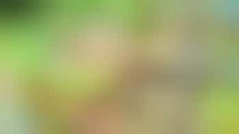 Got food waste? Learn how to make compost