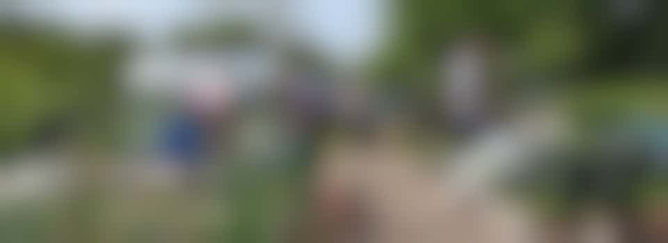 Community Allotment Volunteer