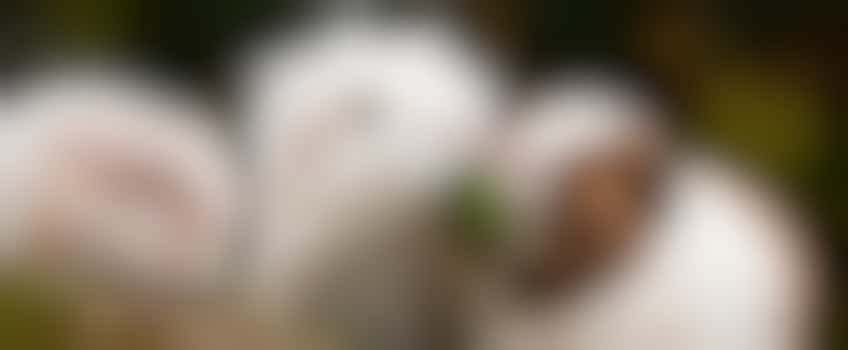 Help us see the process