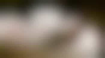 Help us see the process