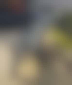 A new lick of paint for our public benches! Sun 15 Jun, 9-11am