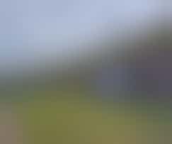 Gastvrije vrijwilliger fotofestival Naarden periode 13 juni tot 6 juli 2025.