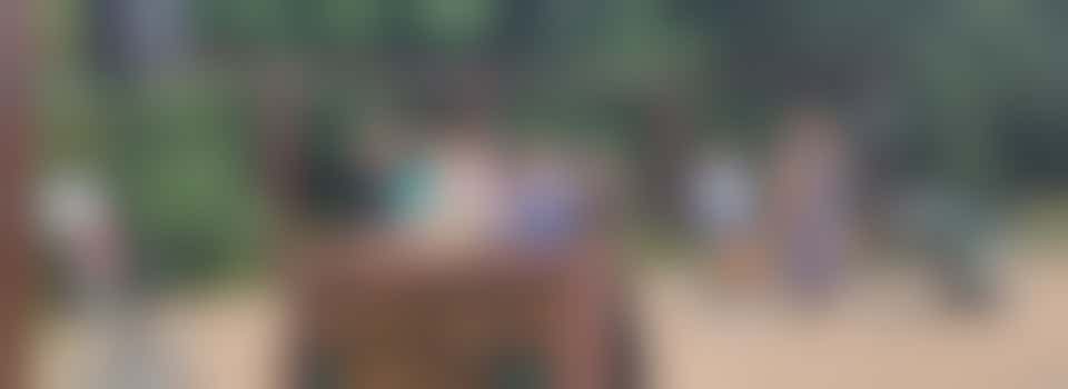 Neighbourhood Futures Festival Volunteering