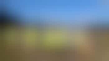 Leavesden junior parkrun