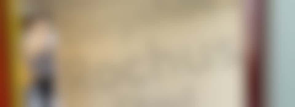 Voorzitter Dorpshuis Steyl