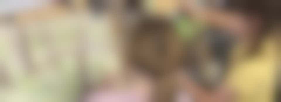 Social Media Curator