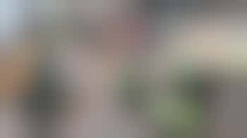 Surplus vegetable helper in Aston/Witton