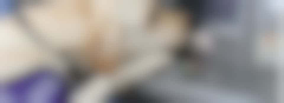 Dog Foster Volunteer