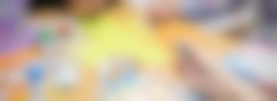 Volunteer Activities Assistant