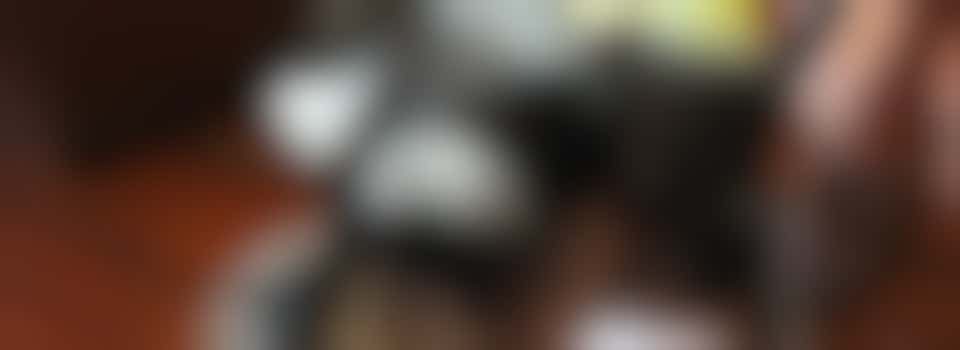 Pets as Therapy (PAT) Dog Handler