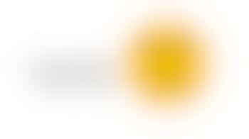 Dog foster carers needed