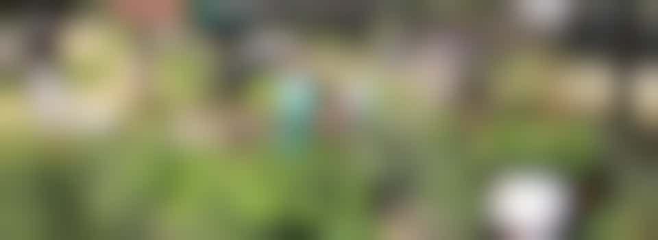 Activiteiten begeleider Alexandertuin