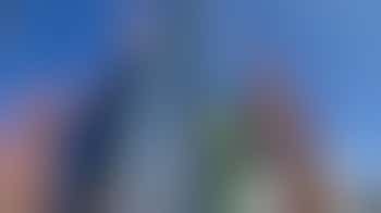 Receptionist - Voluntary Position