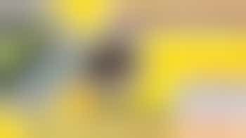 Crew Member - Taunton 28/09/25