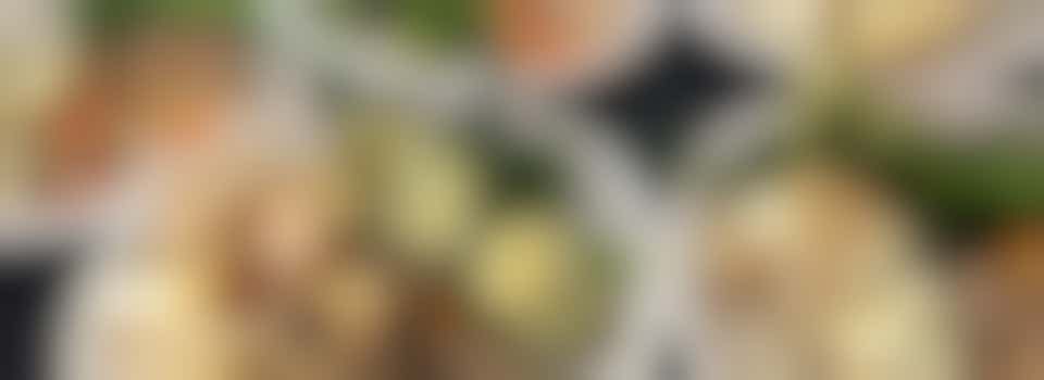 Cooking Volunteer at Falcon Lodge