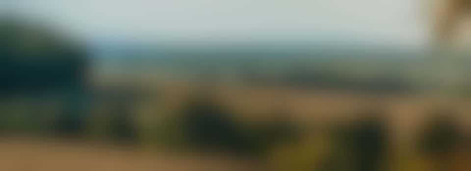 Chair of CPRE Buckinghamshire