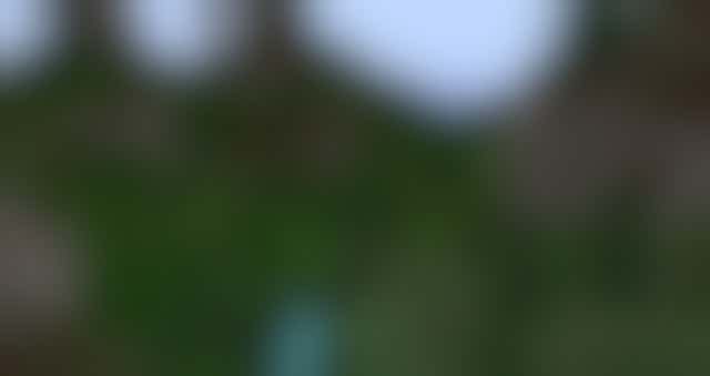 Community moderator AUTCRAFT-NL