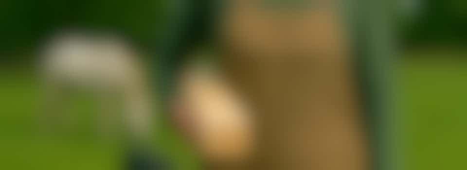 Klussen je hobby? Word onze vaste klusheld: kleine reparaties, groot verschil!