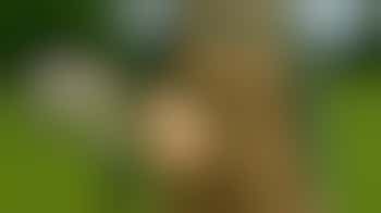 Kom je hobby bij ons uitvoeren!