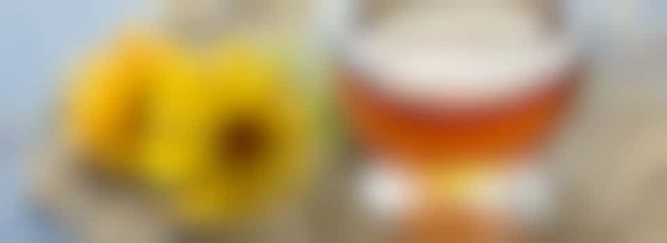 Board members Zonnebloem Bussum / Hilversumse Meent