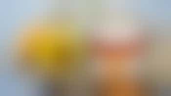 Secretaris Zonnebloem Naarden Bussum