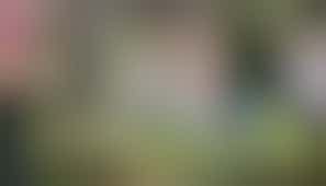 Vrijwilligers gezocht voor moestuinlessen aan kinderen!