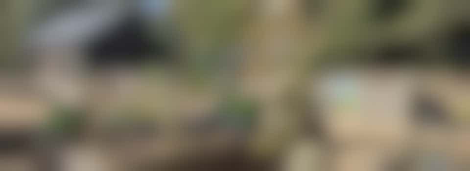 Garden Maintenance Volunteer