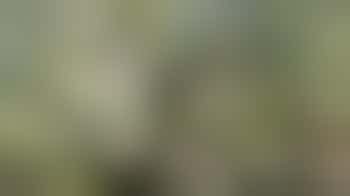 Kom je helpen in onze groentetuin