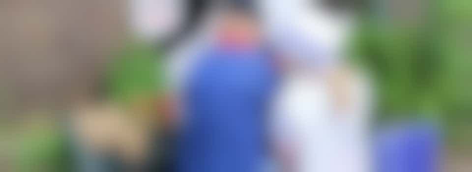 Helpen bij het bedenken en organiseren van activiteiten op Adriaans paradijs