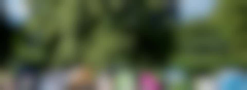 Organiseer je eigen Buurtcamping, word campingbeheerder!