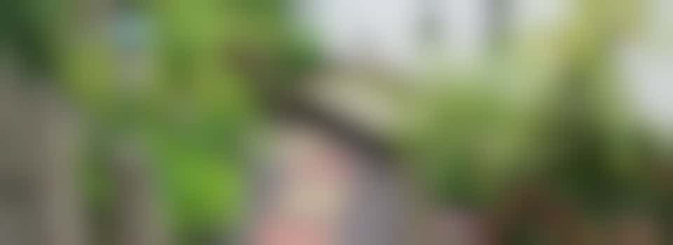 New Works and Maintenance Coordinator