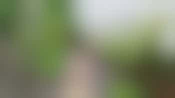 New Works and Maintenance Coordinator