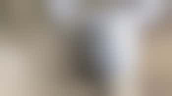 Volunteer at our farm