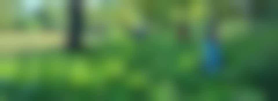 Gardening and Conservation Volunteers