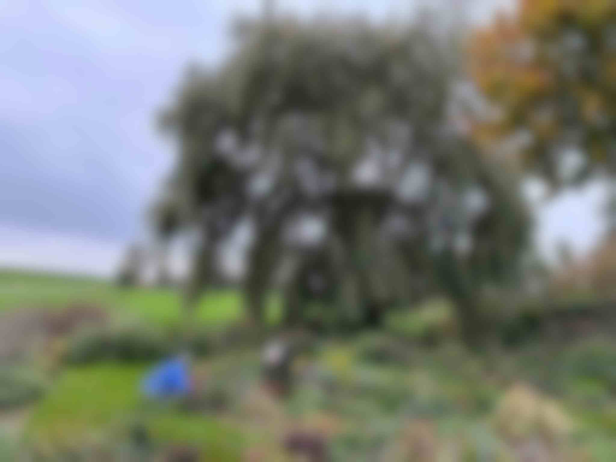 Doe es gewoon vrijwillig